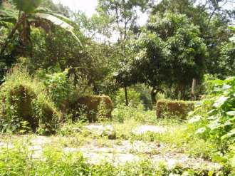 Ruinas de la casa de los bisabuelos Fernando y Emilia Zambrano